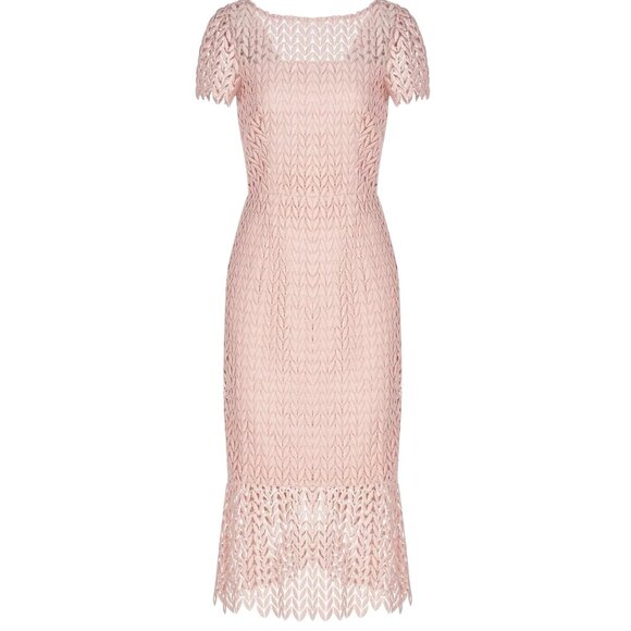 Kay Unger New York Size 10 Lace Overlay Dress Blush Pink Polyester Blend NWT - Picture 3 of 16